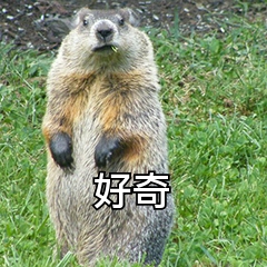 如何将视频格式进行转换？四款软件帮你解决