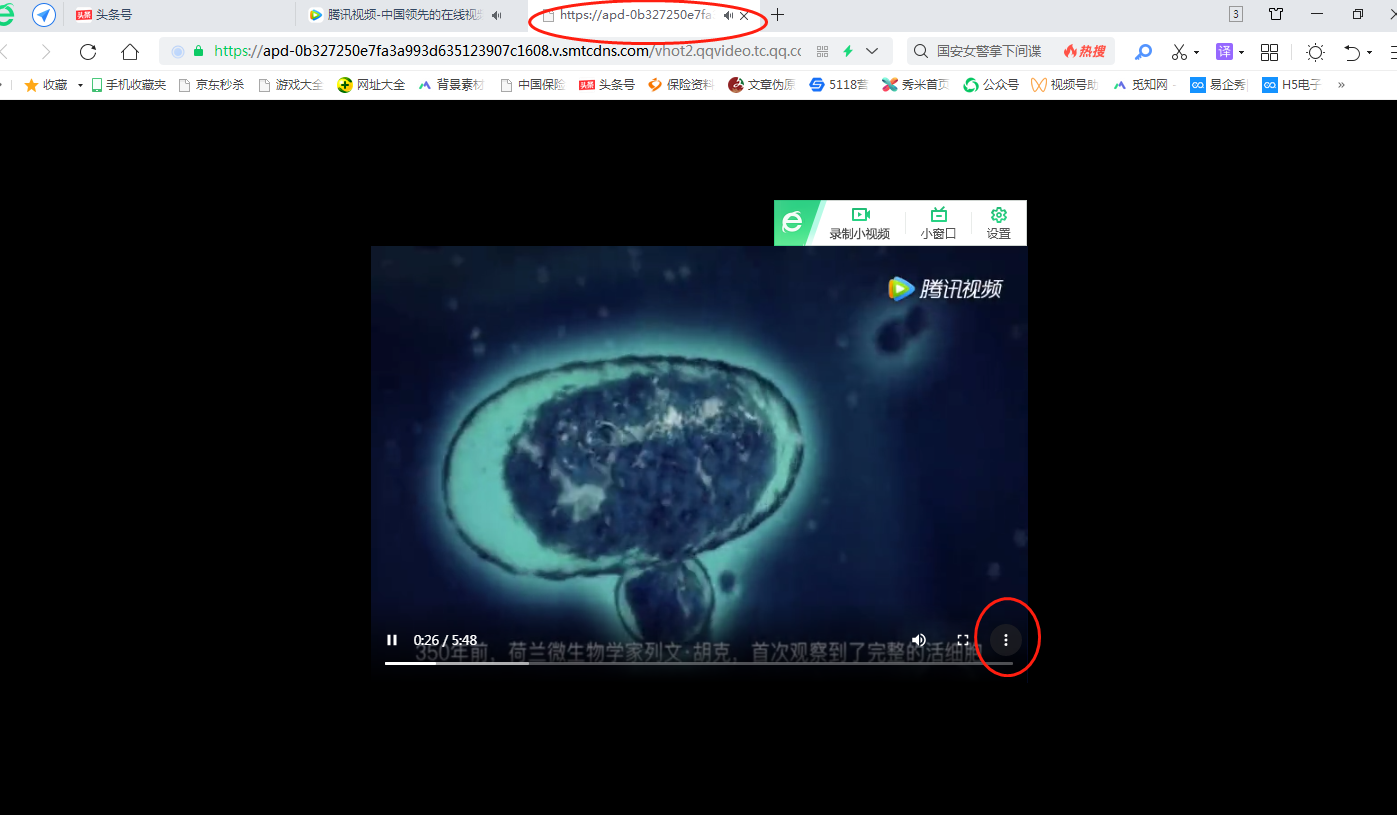 网页中的视频如何下载到电脑上