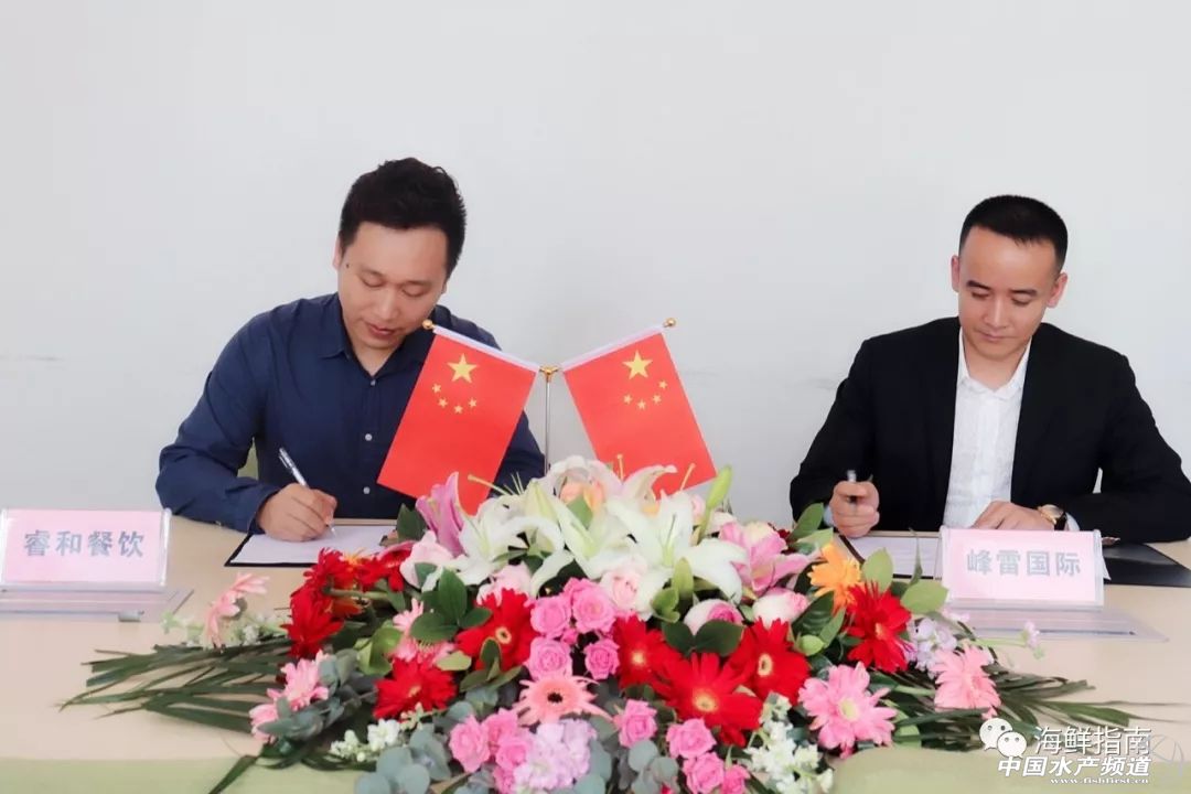 爱辣啵啵鱼携手峰雷国际，深耕巴沙鱼中国市场