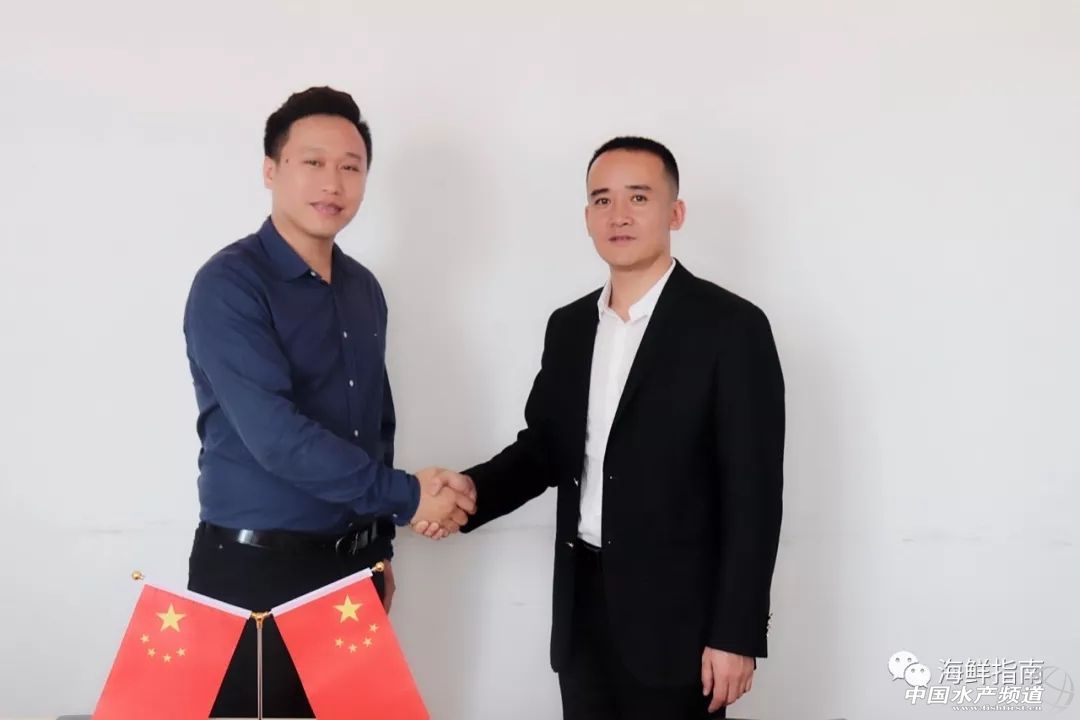 爱辣啵啵鱼携手峰雷国际，深耕巴沙鱼中国市场