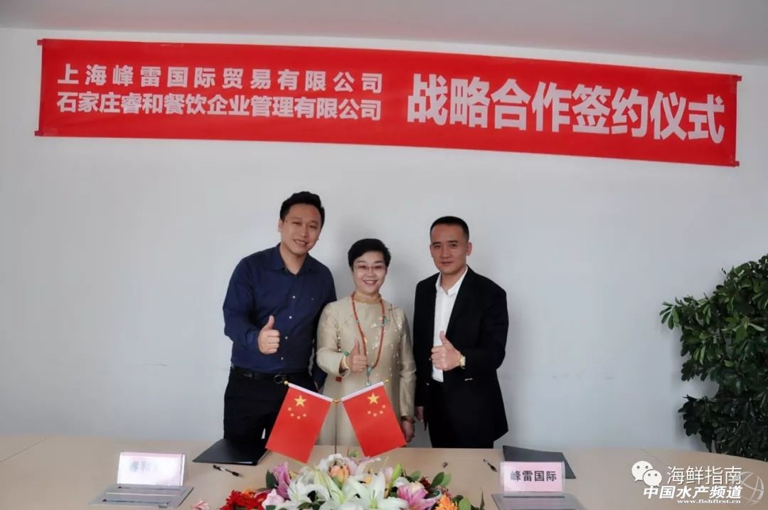 爱辣啵啵鱼携手峰雷国际，深耕巴沙鱼中国市场
