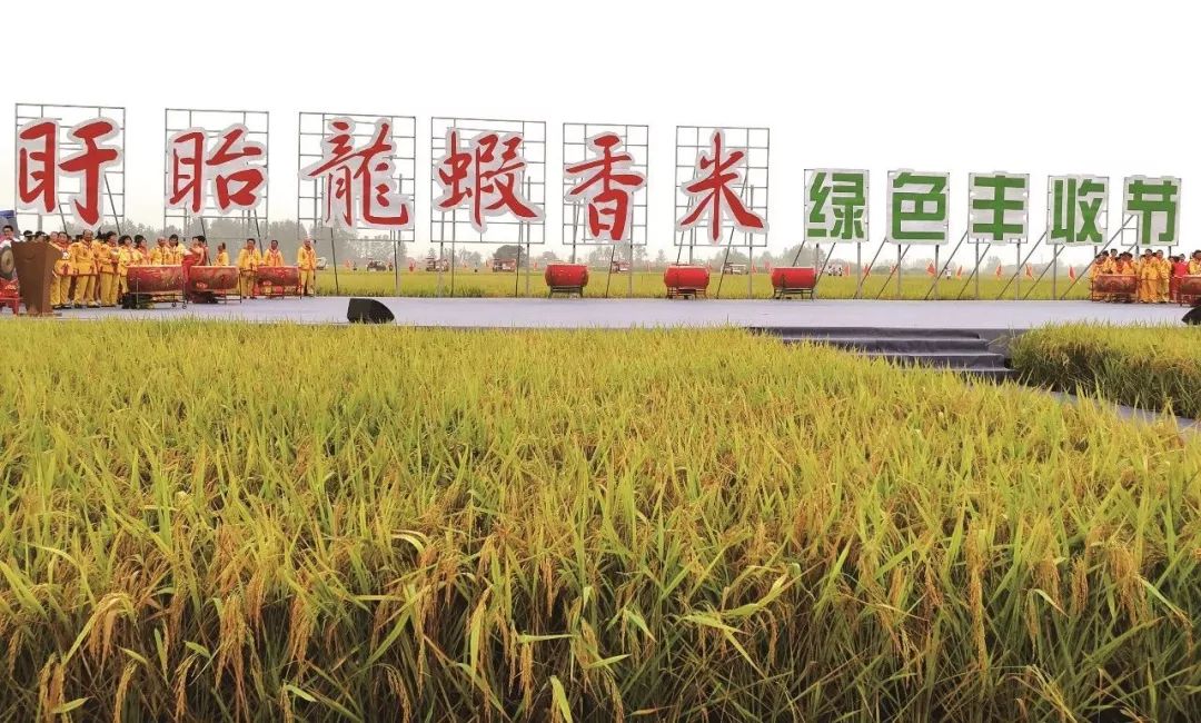 盱眙龙虾：一个国民级区域农产品品牌是如何养成的 | 新书连载7