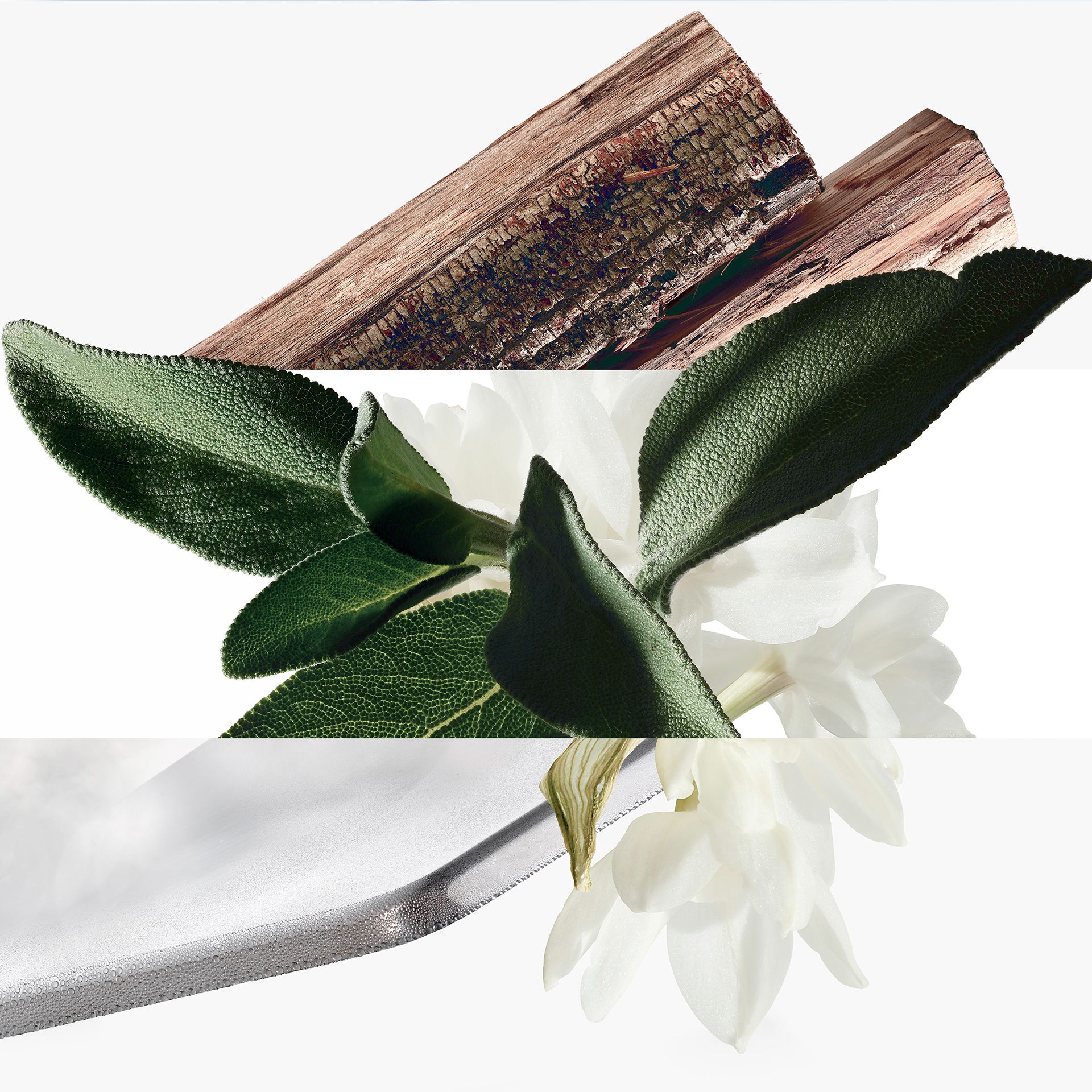 爱马仕时隔15年再推男士香氛，GUCCI与韩团成员KAI联名丨是日美好事物