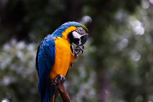 佳能RF系统中有哪些宝藏镜头？