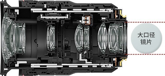 佳能RF系统中有哪些宝藏镜头？