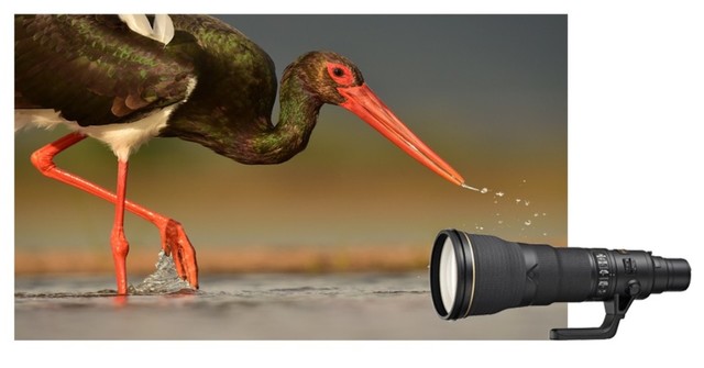 能换个别墅或超跑 揭秘10支价格超昂贵的镜头