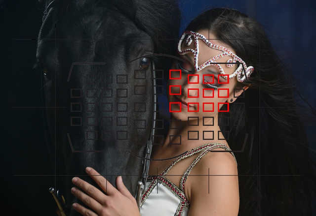 Z 9将至！聊聊尼康历代旗舰单反的升级之路