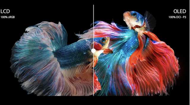 试用华硕好屏的无畏Pro14有3点小遗憾 但我仍要给1万个好评