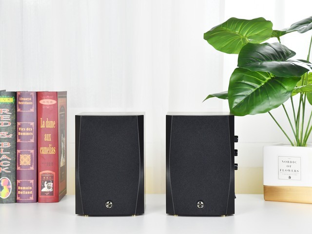 售价不到600元的惠威D1100HiFi音箱 为何这么受欢迎？