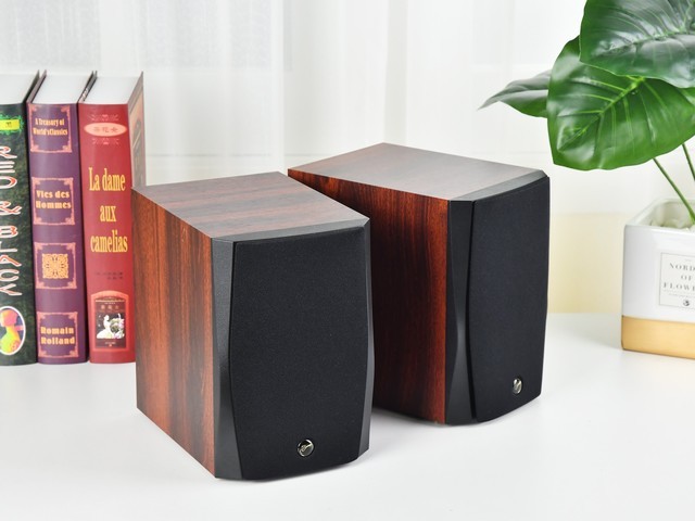 售价不到600元的惠威D1100HiFi音箱 为何这么受欢迎？