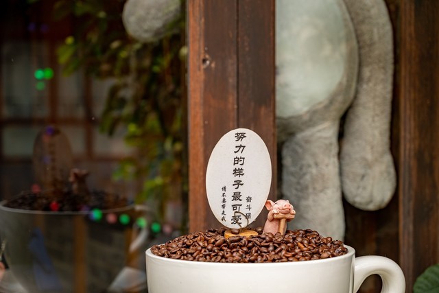 必买：高画质组合之选 尼康相机+镜头组合推荐