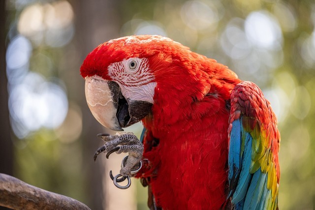 必买：高画质组合之选 尼康相机+镜头组合推荐