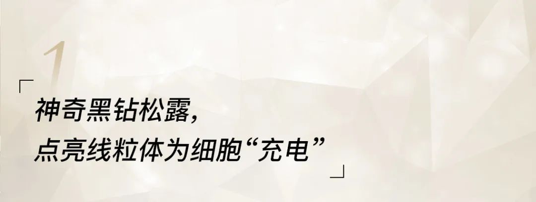 小茂专家团特别版｜雅诗兰黛黑松露眼霜