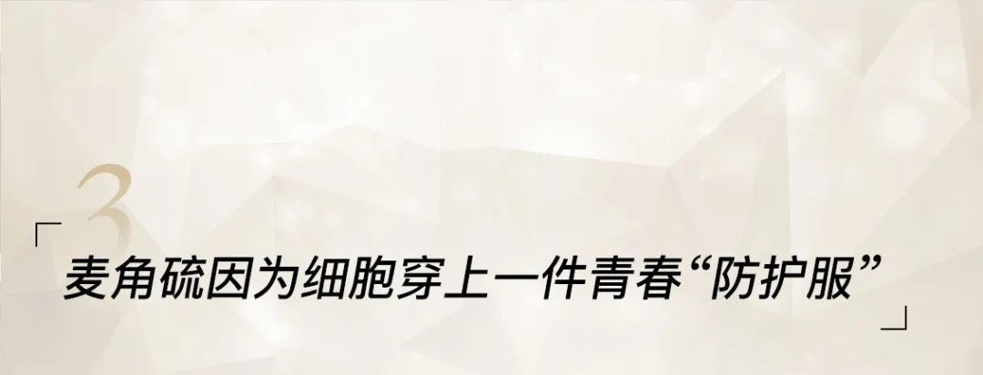 小茂专家团特别版｜雅诗兰黛黑松露眼霜