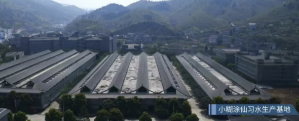 「一城一酒」小糊涂仙错过“黄金十年”，二次创业能否归队