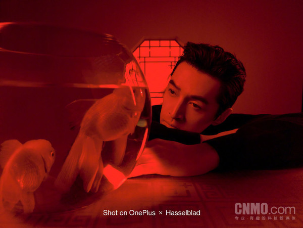 要换新机？良心推荐这四款全能旗舰 颜值性能样样有