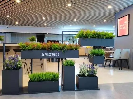 同比增长18.6%，餐饮业拿什么实现了逆势增长？