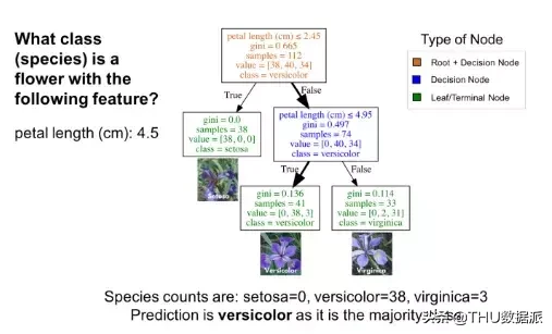 使用Python了解分类决策树（附代码）