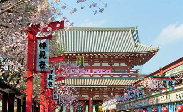 你以为吃个铁板烧就是吃到正宗的日本料理了？