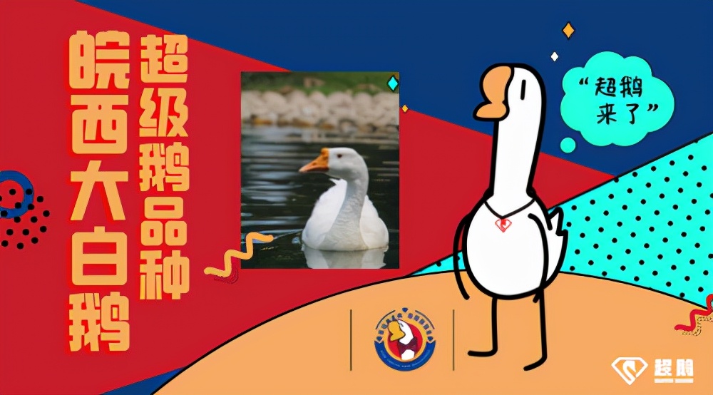 新式卤味“超鹅”会成为卤味赛道的黑马吗？