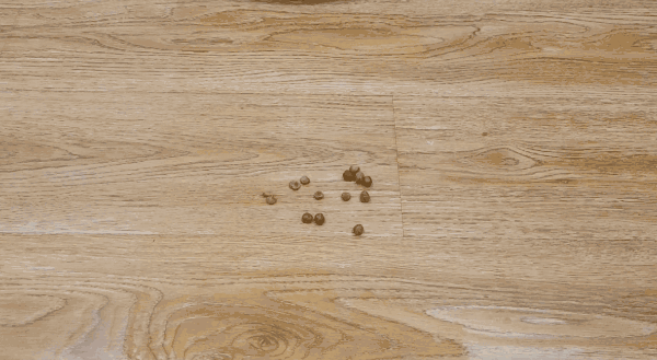 全屋视频巡航 带你去巡山！科沃斯扫拖机器人地宝X1全能版评测