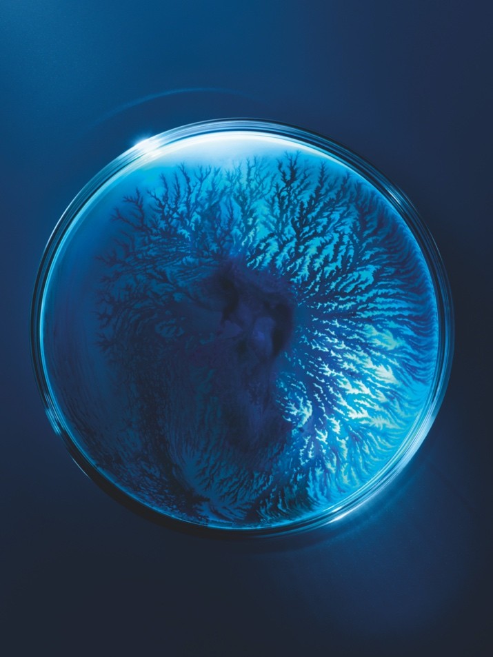 碧欧泉首款抗初老面霜修护「云朵霜」重磅上市