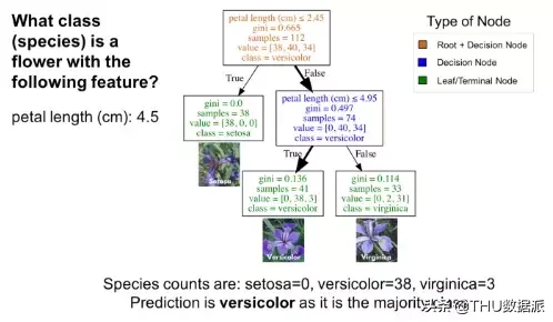 使用Python了解分类决策树（附代码）
