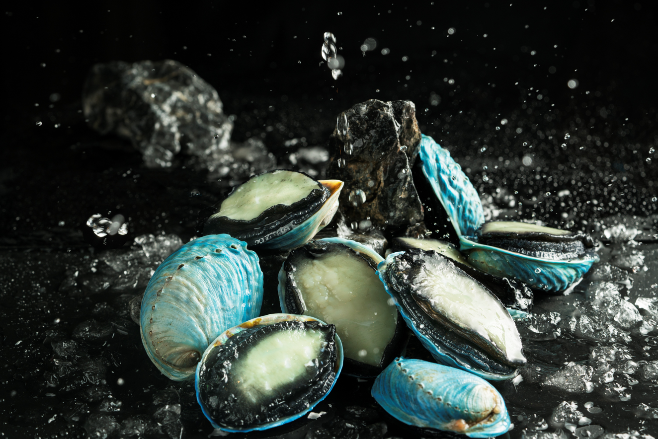 锦肴轩海鲜料理餐厅全面上新，全新珍馐美馔邀您品评