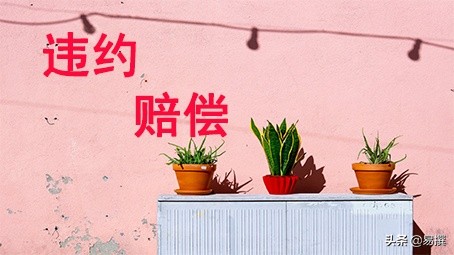 加入MCN机构是好还是不好？