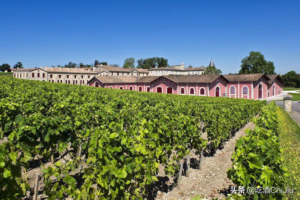 “小拉菲”红酒，你了解多少？