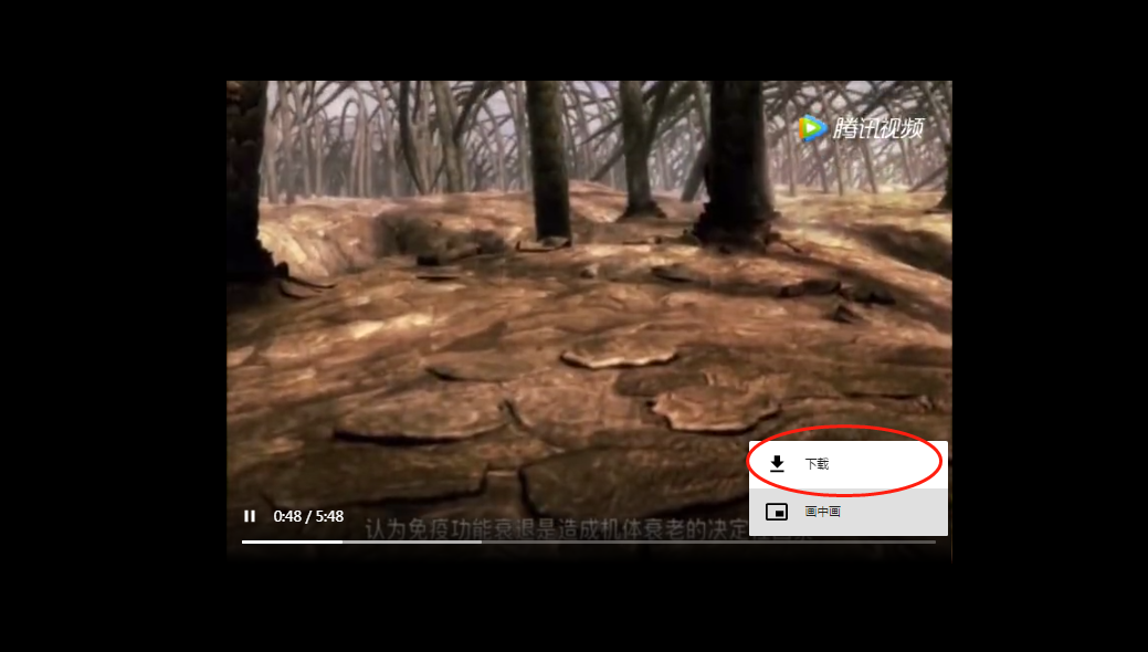 网页中的视频如何下载到电脑上
