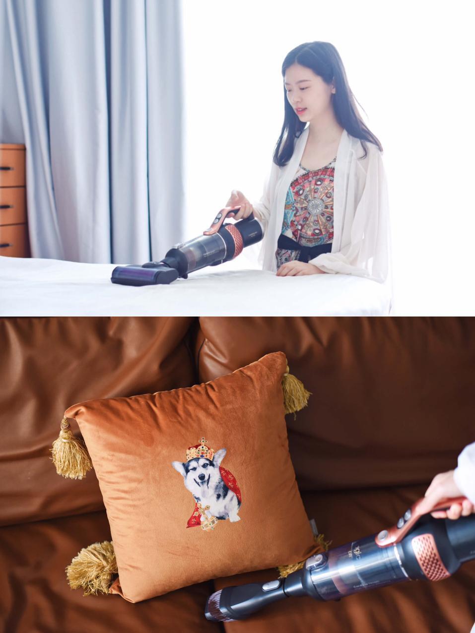 有宝宝和毛孩子，吸尘器我选莱克