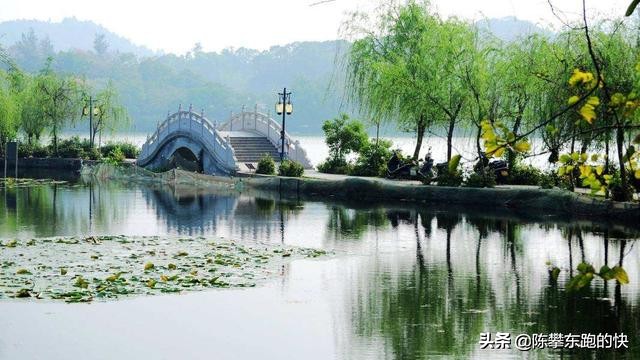 在杭州怎么注册公司、办理营业执照？