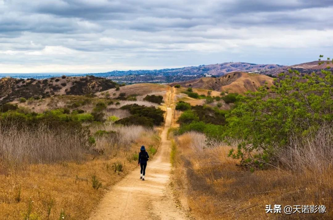 玩转镜头｜徕卡M 50mm/2AA 有何特别之处？