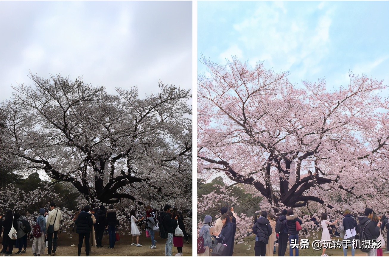 不踩坑！这5款就是目前最实用的修图App