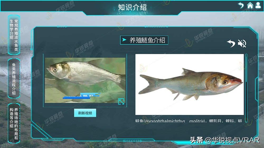 VR虚拟仿真软件有哪些实用性的应用呢？