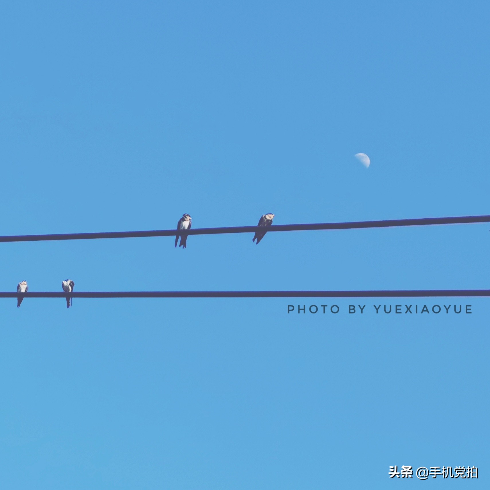 如何给照片加个漂亮的水印？教你2种方法，手机快速搞定