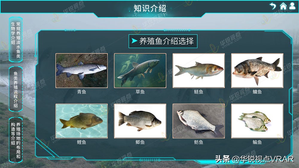 VR虚拟仿真软件有哪些实用性的应用呢？