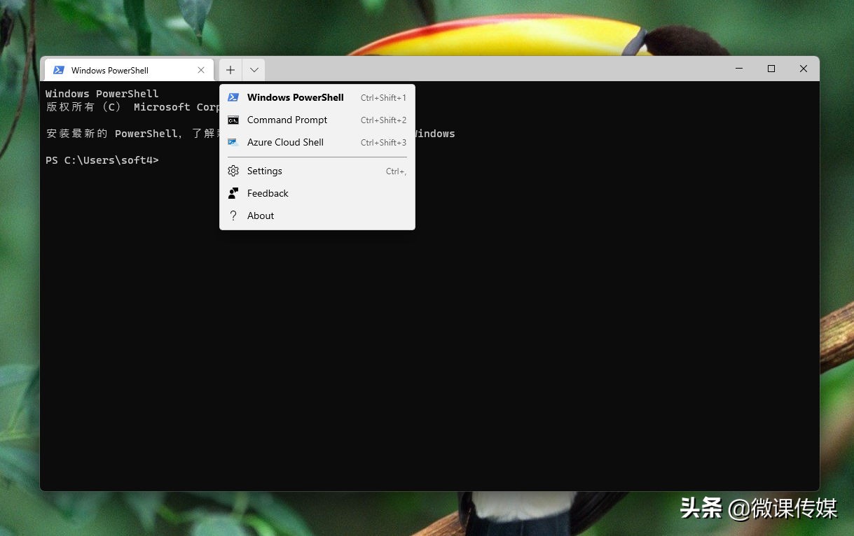 想远程操控电脑，就用远程桌面连接，Win11内置工具，6种方法打开