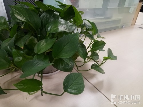 性能终于向颜值靠拢了 小米平板3评测