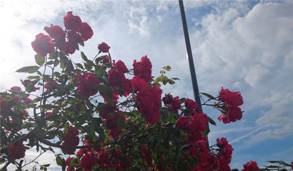 索尼Xperia Z4平板详细评测：机器优秀，键盘坞糟糕