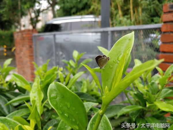 一加5评测：8GB运存性能怪兽，还有双摄加持