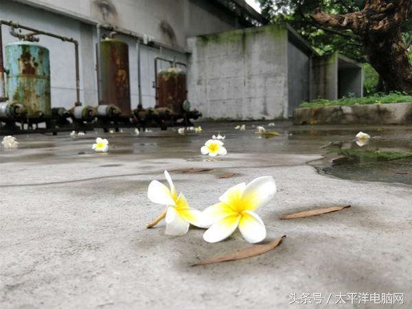 一加5评测：8GB运存性能怪兽，还有双摄加持