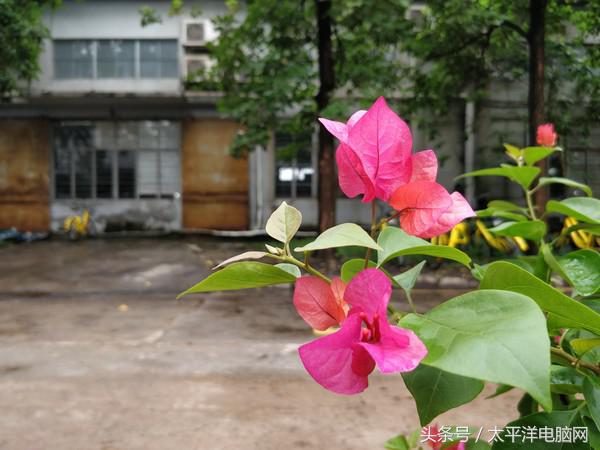 一加5评测：8GB运存性能怪兽，还有双摄加持