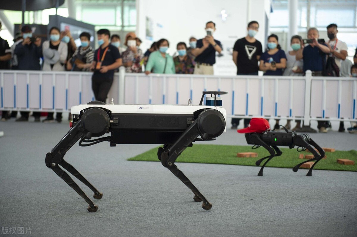 读研后想主攻人工智能方向，本科该选择数学专业还是计算机专业