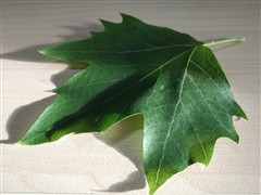 2999元"发烧"旗舰!小米Note顶配版评测