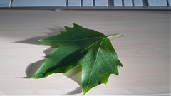 2999元"发烧"旗舰!小米Note顶配版评测