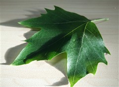 2999元"发烧"旗舰!小米Note顶配版评测