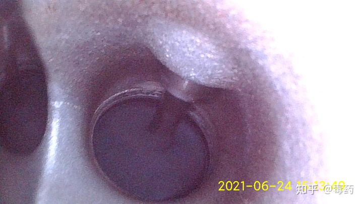 雪佛龙TCP特劲会造成机油污染损伤发动机是真的吗？