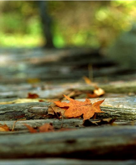 完美照片的十大经典拍摄技法